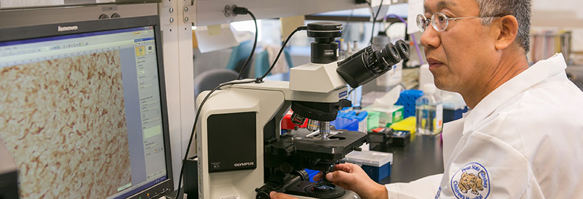 A man in glasses and a laboratory coat is pictured using a microscope with an image projected onto a computer monitor to his left.