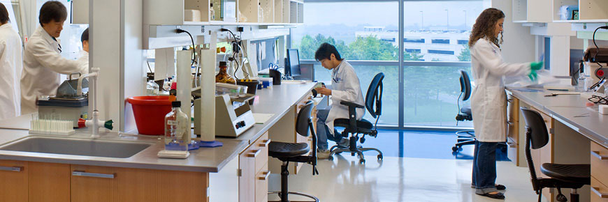Five male and female researchers wearing white lab coats, work in a lab utilizing different equipment including monitors.