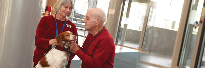 An older man and a woman, both in red sweaters, pet a brown and white medium sized dog in a hospital entrance-way.